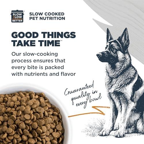 Can Blackwood Dry Dog Food Solve Our Pup's Tummy Troubles?