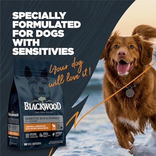 Can Blackwood Dry Dog Food Solve Our Pup's Tummy Troubles?