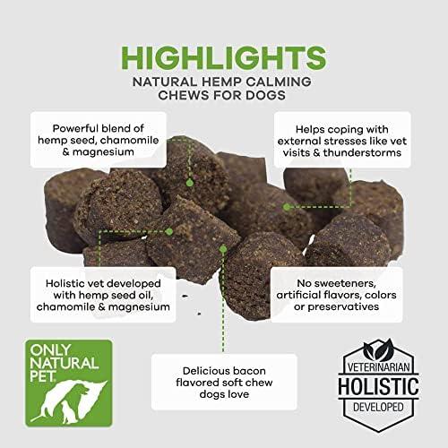 Finding Calm: Our Take on Only Natural Pet's Hemp Chews