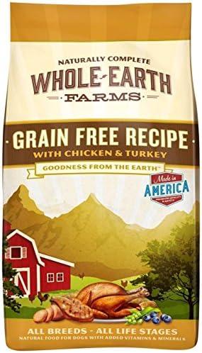 Discover Healthy Grain-Free Kibble Options for Your Dog