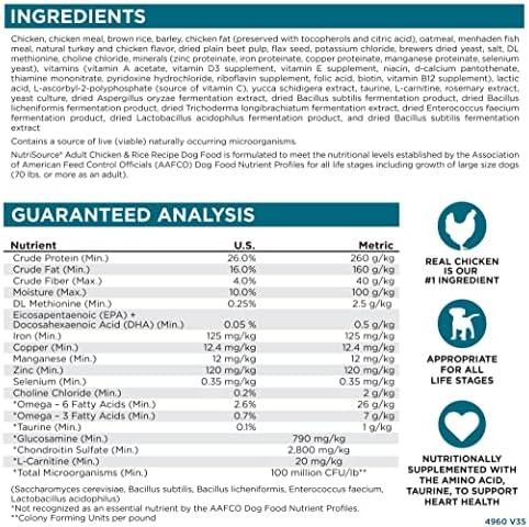 Is NutriSource Chicken & Rice the Right Fuel for Our Dogs?