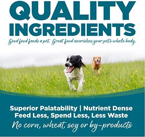 Is NutriSource Chicken & Rice the Right Fuel for Our Dogs?