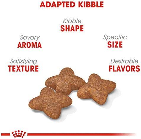 Exploring Royal Canin Small Breed Adult Dog Food: Our Review