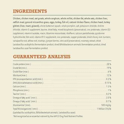 Discovering ACANA Wholesome Grains: A Nutritious Puppy Feast