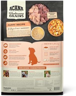 Discovering ACANA Wholesome Grains: A Nutritious Puppy Feast