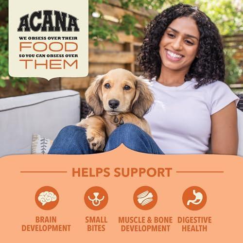 Discovering ACANA Wholesome Grains: A Nutritious Puppy Feast