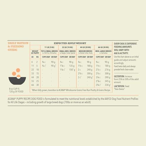 Discovering ACANA Wholesome Grains: A Nutritious Puppy Feast