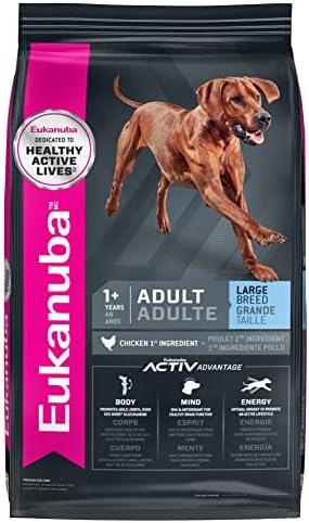 Elevating Nutrition: Our Take on Eukanuba Large Breed Dog Food