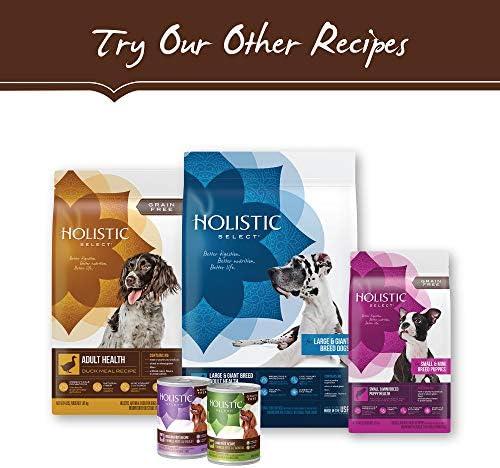 Discovering Holistic Select: Our Dogs’ Fishy Feast Review