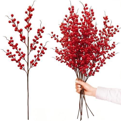 Transforming Our Holidays: A Review of Red Berry Stems