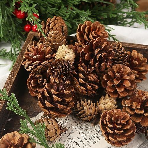 Transforming Our Holidays: A Review of JOHOUSE Pine Cones