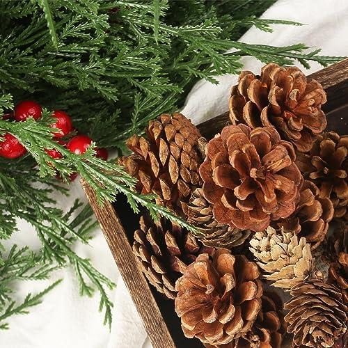 Transforming Our Holidays: A Review of JOHOUSE Pine Cones