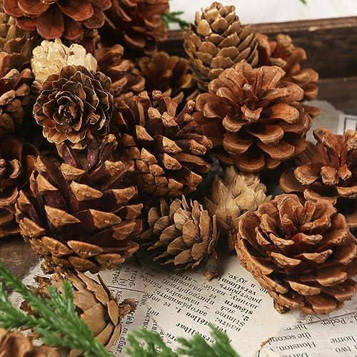 Transforming Our Holidays: A Review of JOHOUSE Pine Cones