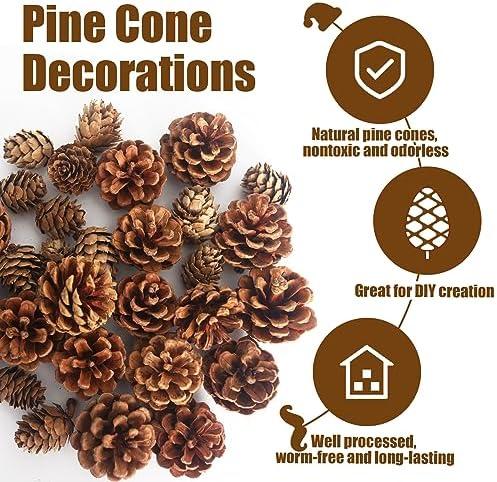 Transforming Our Holidays: A Review of JOHOUSE Pine Cones