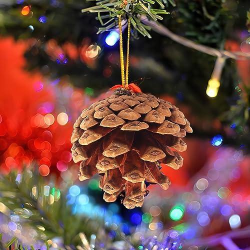 Transforming Our Holidays: A Review of JOHOUSE Pine Cones