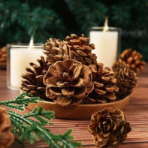 Transforming Our Holidays: A Review of JOHOUSE Pine Cones