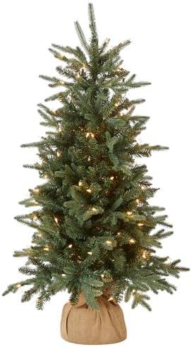 Top National Tree Company Christmas Trees for Every Space