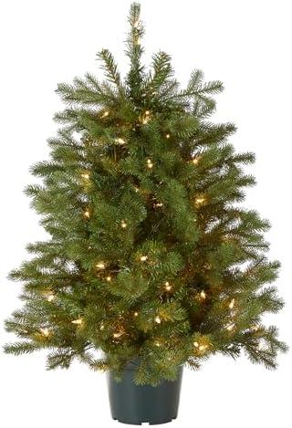 Top National Tree Company Christmas Trees for Every Space