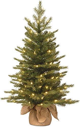 Top National Tree Company Christmas Trees for Every Space