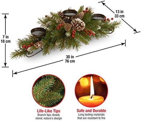 Bringing Holiday Cheer: Our Review of the National Tree Centerpiece