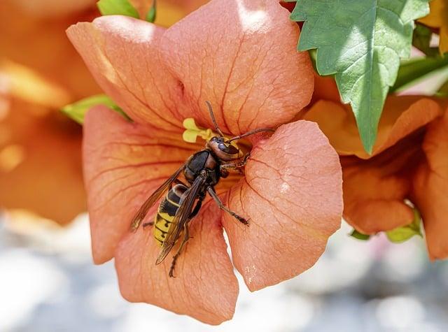 Research Opportunities and Innovations: A Deep Dive into UTRGV and Wisconsins Contributions