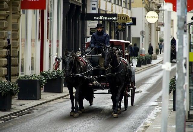 Viennas Festive Charm: A Journey Through Tradition and Culture