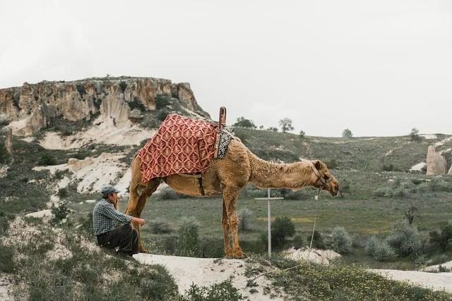 A Journey Through Festive Delights and Unique Crafts